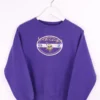 Vintage Minnesota Viking Sweater Small