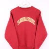 Vintage Florida State Sweater Small