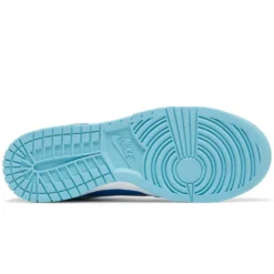 NIKE DUNK LOW 'ARGON' -Style Hub Shop Untitled 4 f1f2ae84 353e 47ed a58a acffaa2c6966